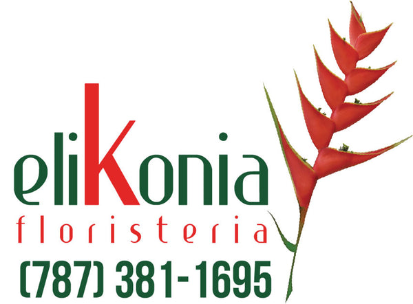 Elikonia Flores Y Eventos logo