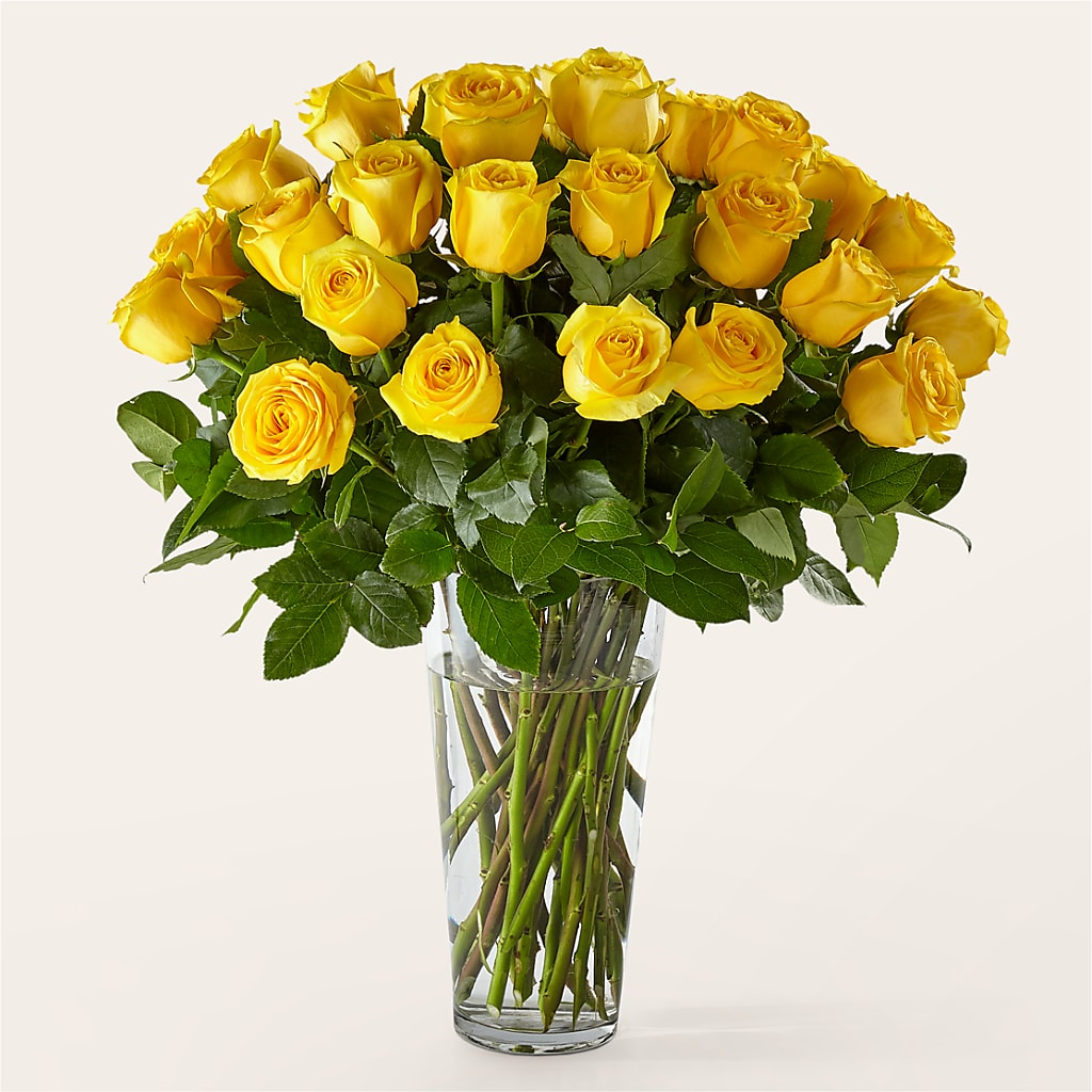 Long Stem Yellow Rose Bouquet – Elikonia Flores Y Eventos, San Juan PR
