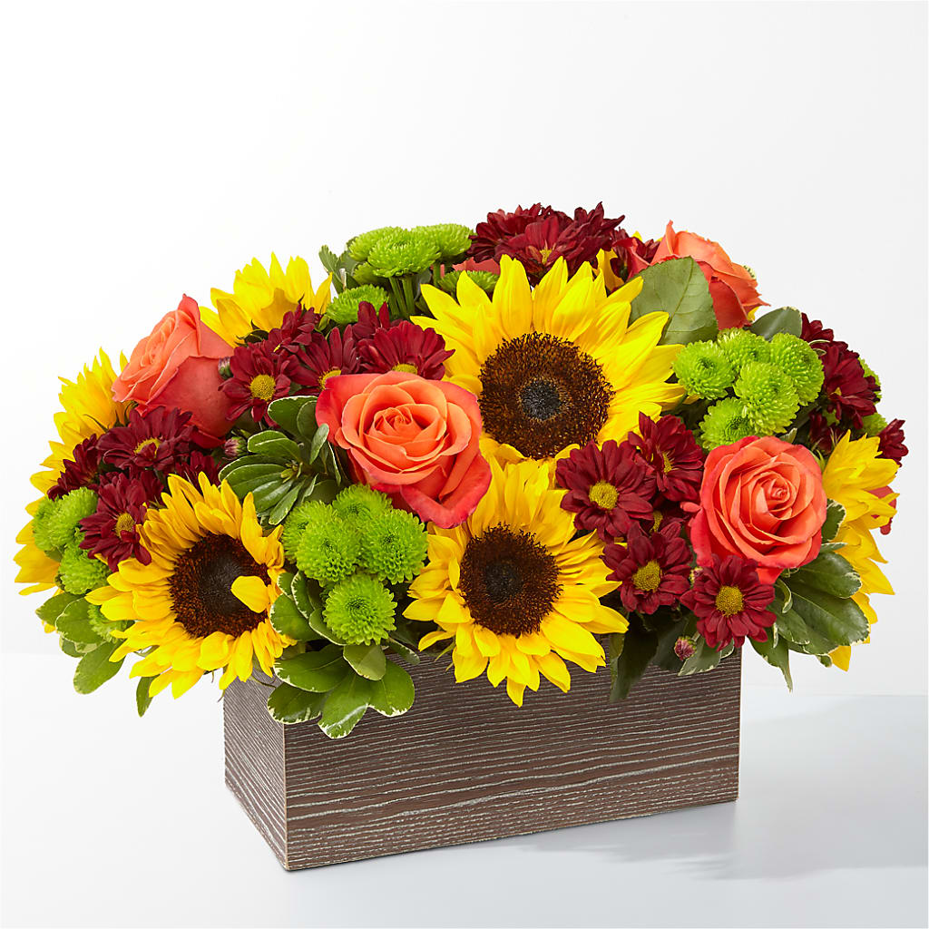 Happy Harvest Garden – Elikonia Flores Y Eventos, San Juan PR