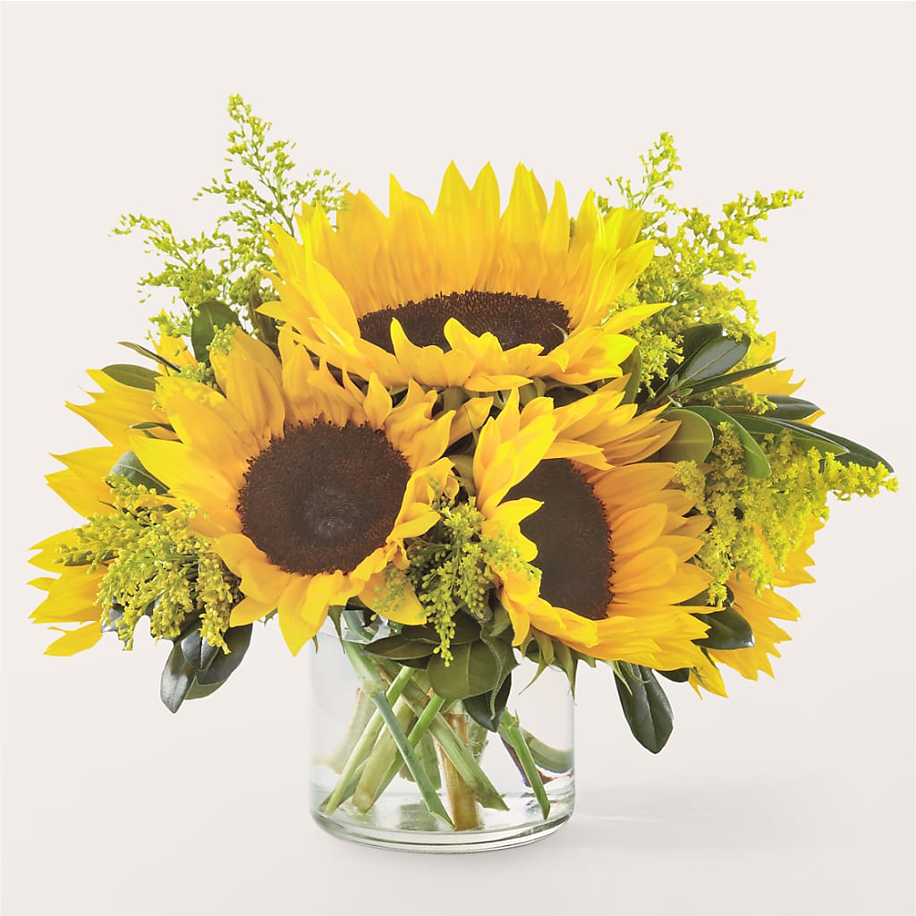 Beaming Sunflower Bouquet – Elikonia Flores Y Eventos, San Juan PR