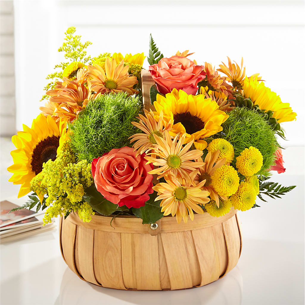 Harvest Sunflower Basket – Elikonia Flores Y Eventos, San Juan PR