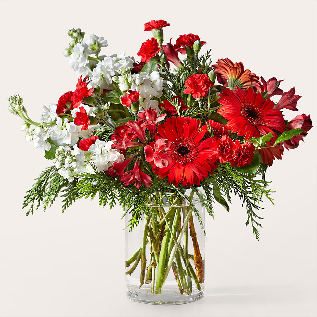 Holidaisy Bouquet – Elikonia Flores Y Eventos, San Juan PR
