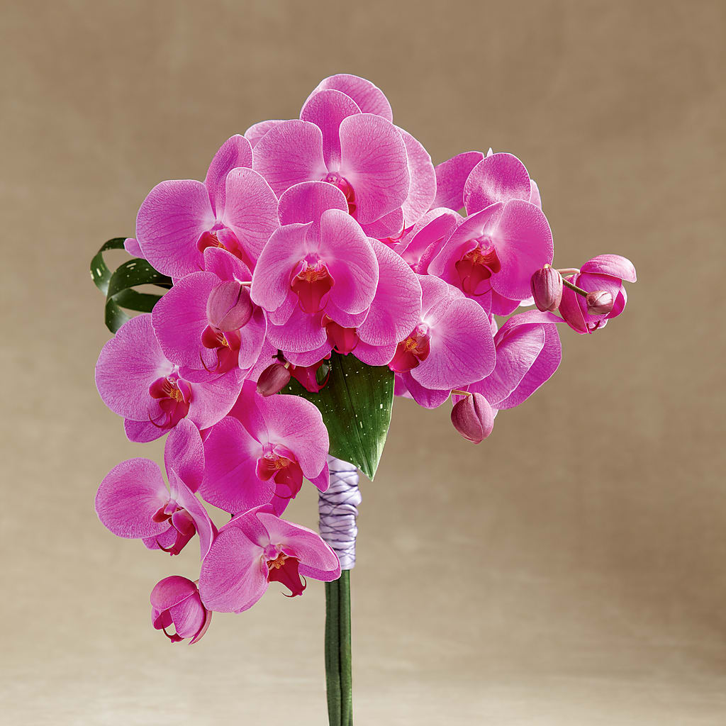 Glorious Bouquet – Elikonia Flores Y Eventos, San Juan PR