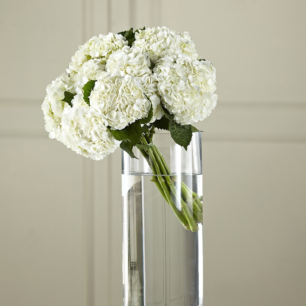 White Hydrangea Hand-Tied Bouquet – Elikonia Flores Y Eventos, San Juan PR