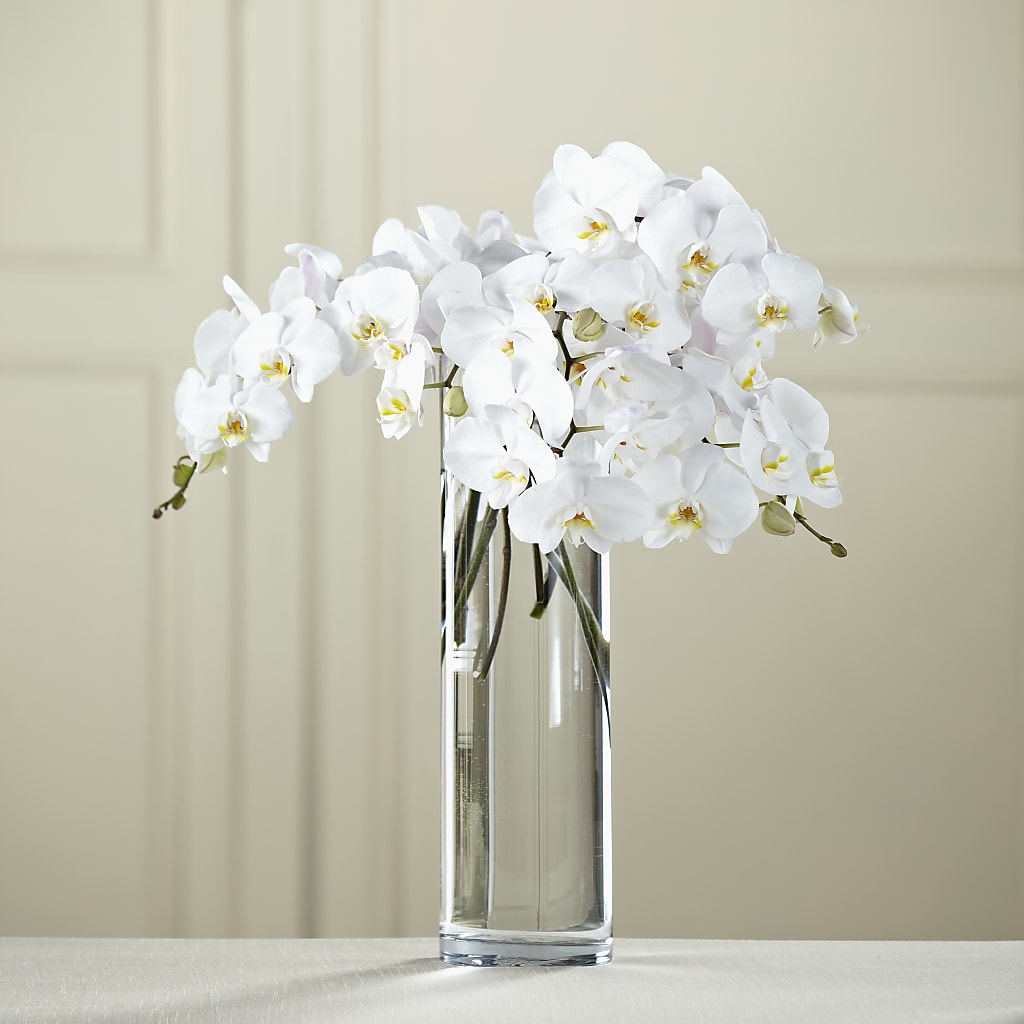 White Phalaenopsis Bouquet – Elikonia Flores Y Eventos, San Juan PR