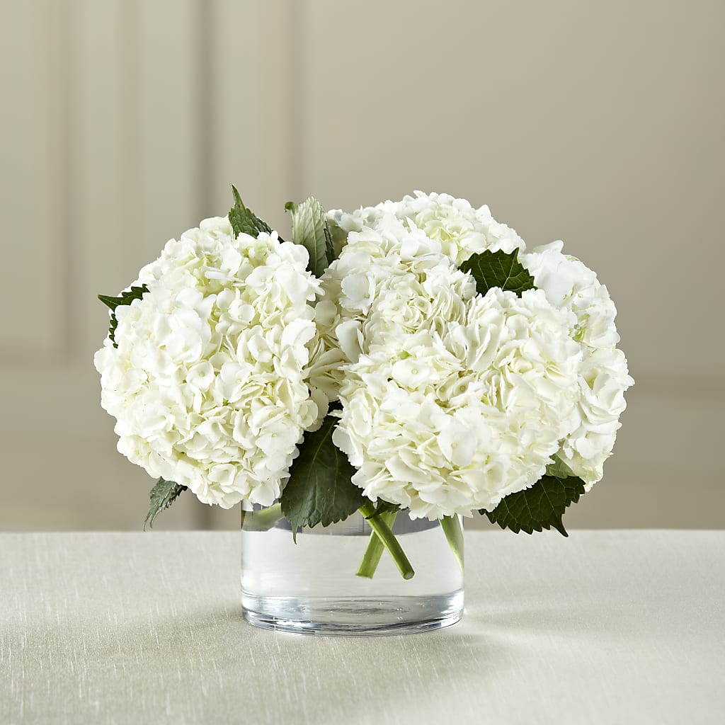 White Hydrangea Bouquet – Elikonia Flores Y Eventos, San Juan PR