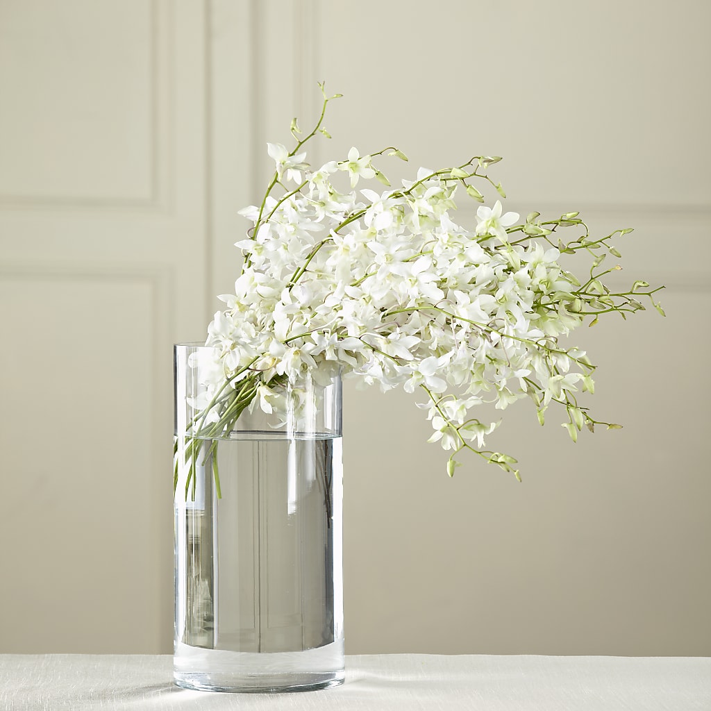 White Dendrobium Bouquet – Elikonia Flores Y Eventos, San Juan PR