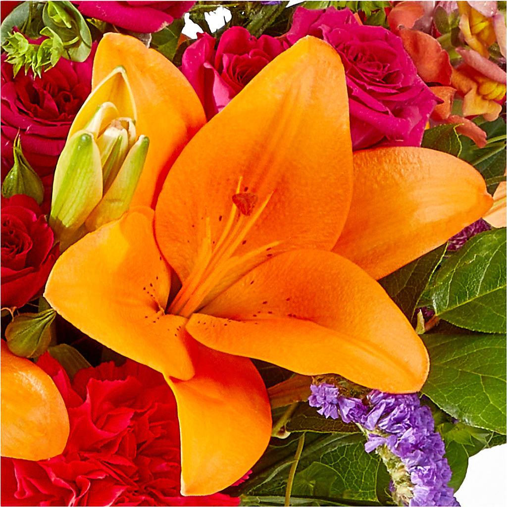 Birthday Palooza Bouquet –  Elikonia Flores Y Eventos, San Juan PR