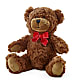 Adorable Plush Bear –  Elikonia Flores Y Eventos, San Juan PR