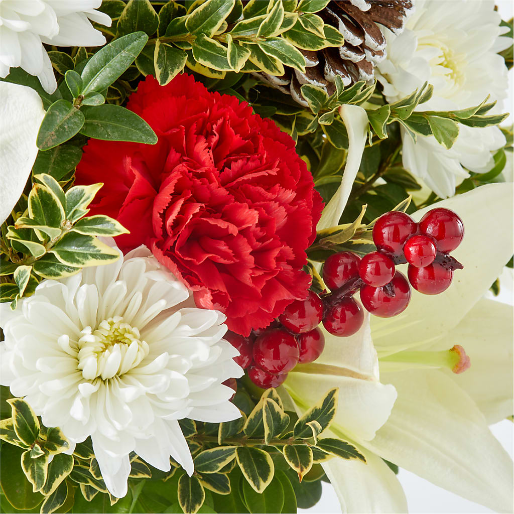 Festive Moments Tree –  Elikonia Flores Y Eventos, San Juan PR