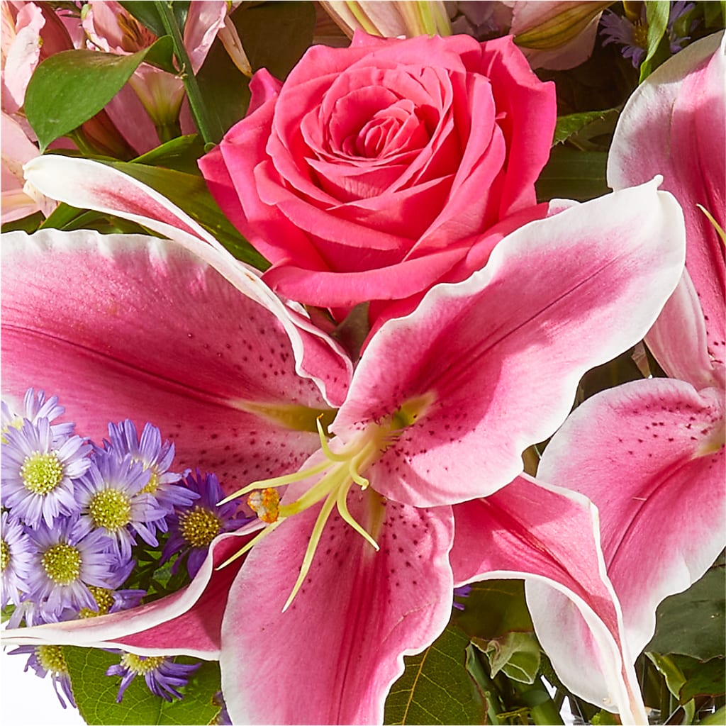 Written in the Stars Bouquet –  Elikonia Flores Y Eventos, San Juan PR