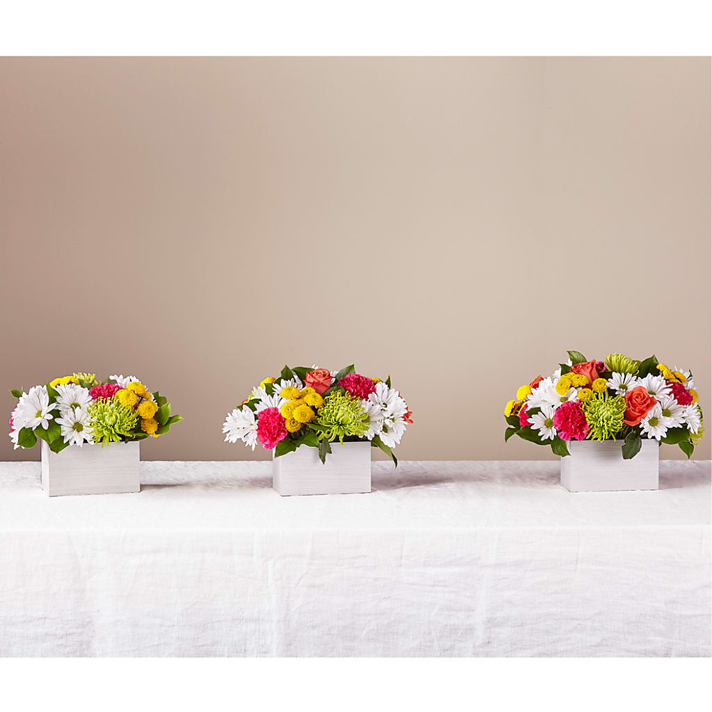 Sorbet Bouquet –  Elikonia Flores Y Eventos, San Juan PR