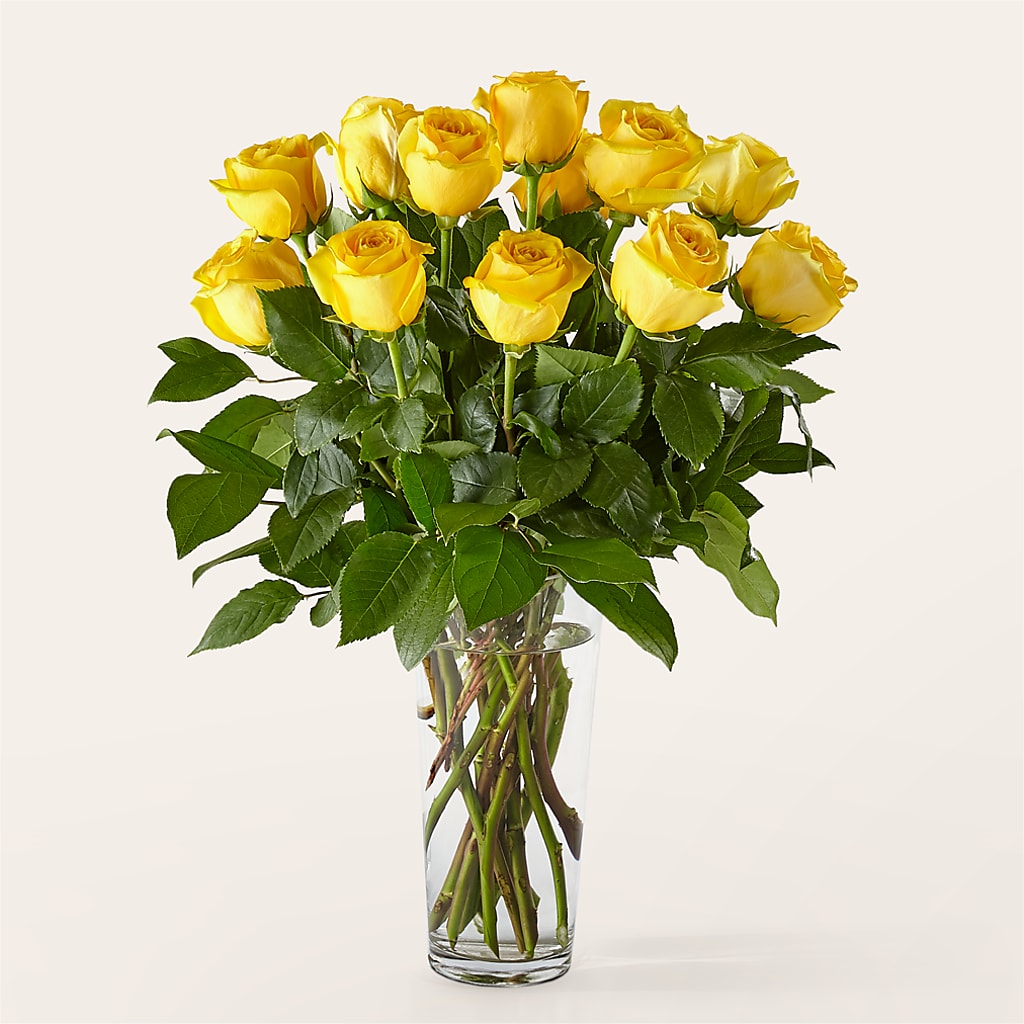 Long Stem Yellow Rose Bouquet –  Elikonia Flores Y Eventos, San Juan PR