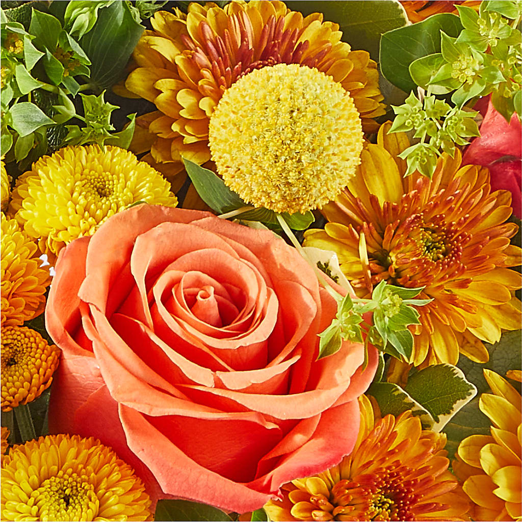 Gourdgeous Pumpkin –  Elikonia Flores Y Eventos, San Juan PR