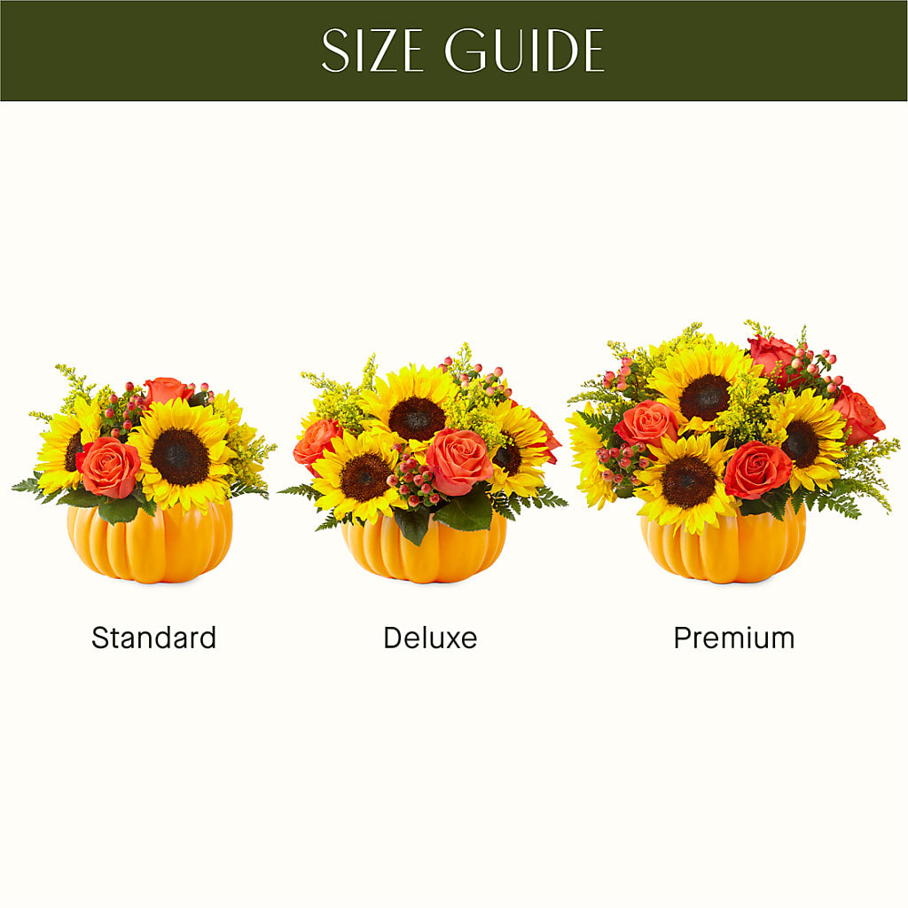 Pick of the Patch Pumpkin Bouquet –  Elikonia Flores Y Eventos, San Juan PR