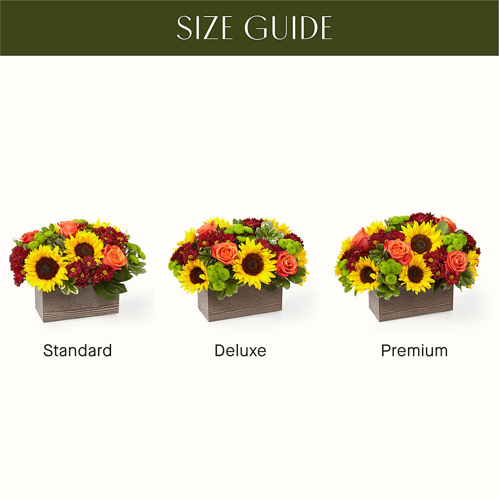 Happy Harvest Garden –  Elikonia Flores Y Eventos, San Juan PR
