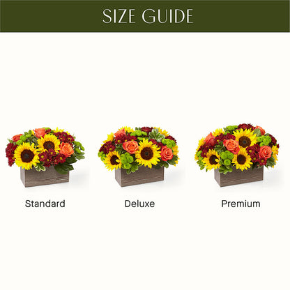 Happy Harvest Garden –  Elikonia Flores Y Eventos, San Juan PR
