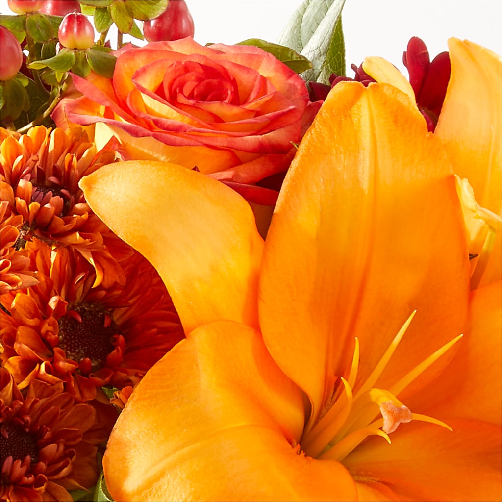 Backyard Bonfire Bouquet –  Elikonia Flores Y Eventos, San Juan PR