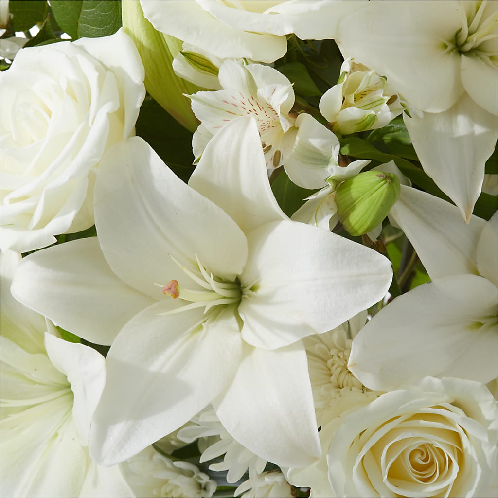 Peaceful Reflections Arrangement –  Elikonia Flores Y Eventos, San Juan PR