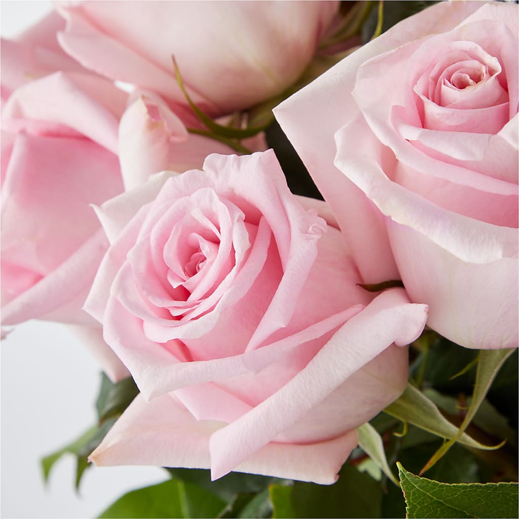 Picture Perfect Pink Rose Bouquet –  Elikonia Flores Y Eventos, San Juan PR