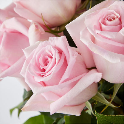 Picture Perfect Pink Rose Bouquet –  Elikonia Flores Y Eventos, San Juan PR