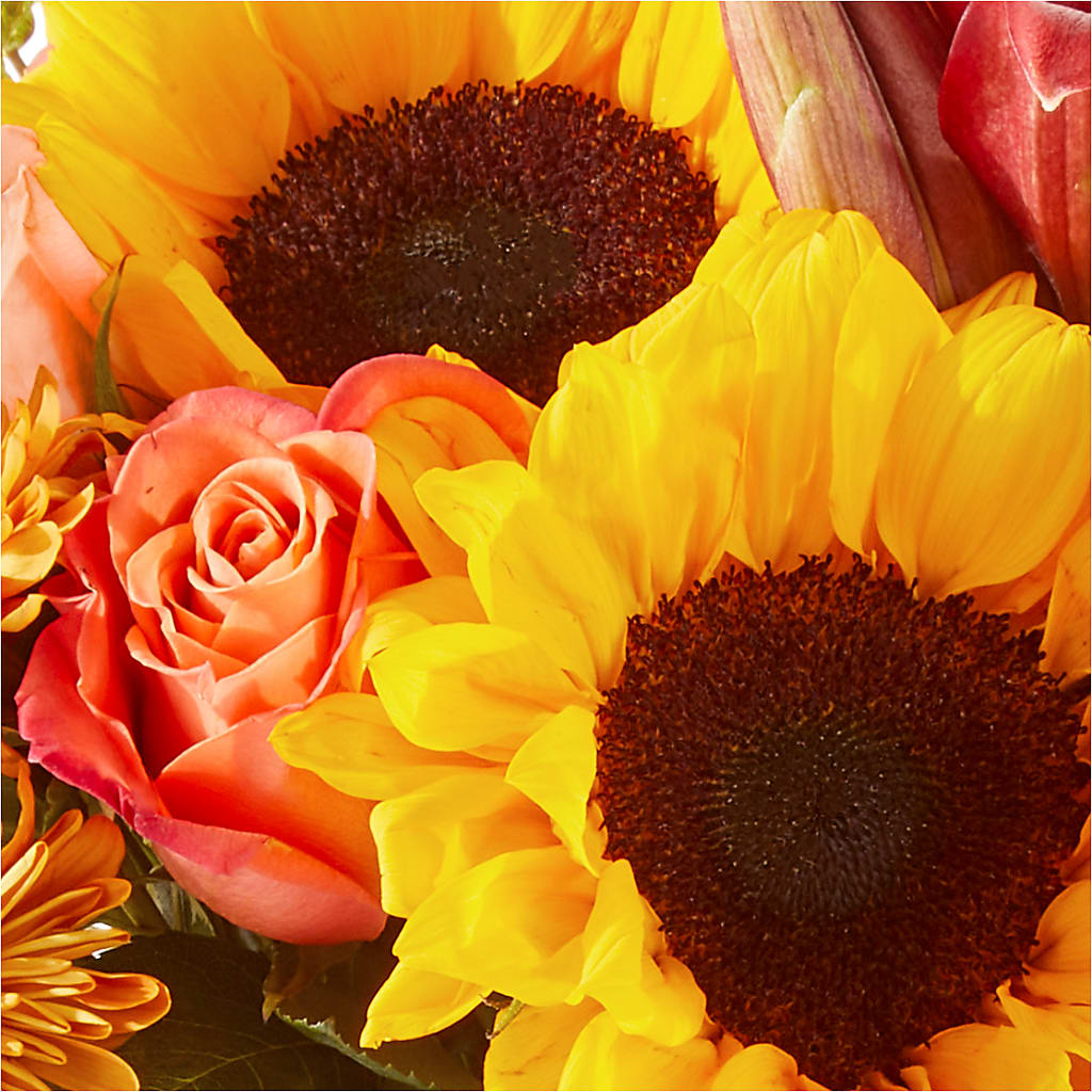 Acorn Lane Bouquet –  Elikonia Flores Y Eventos, San Juan PR