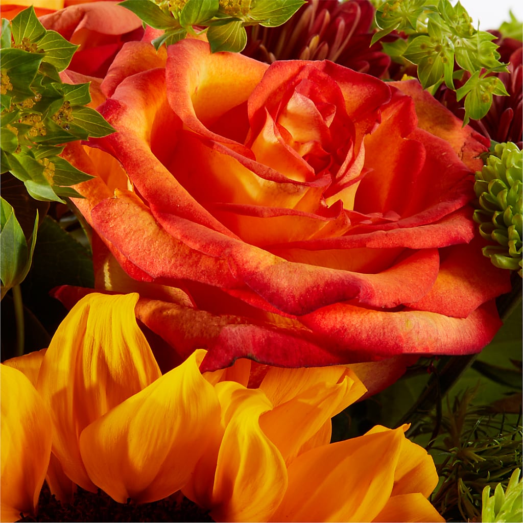Harvest Festival Bouquet –  Elikonia Flores Y Eventos, San Juan PR
