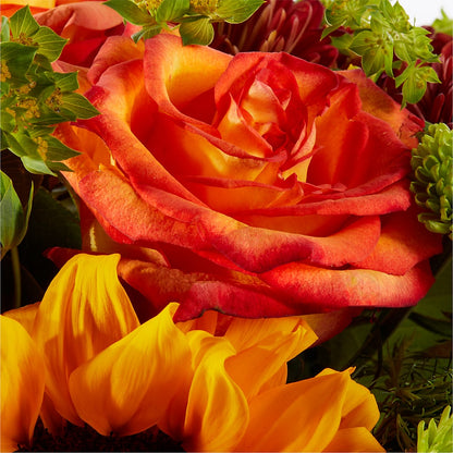 Harvest Festival Bouquet –  Elikonia Flores Y Eventos, San Juan PR