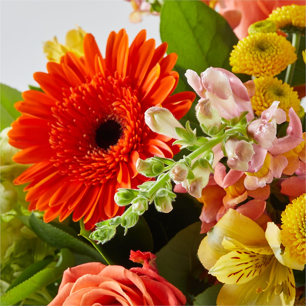 Autumn Sunshine Bouquet –  Elikonia Flores Y Eventos, San Juan PR
