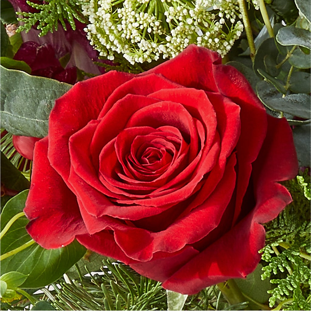 Cranberry Fizz Bouquet –  Elikonia Flores Y Eventos, San Juan PR