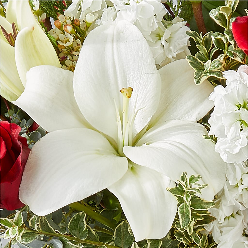 Twinkle Lights Bouquet –  Elikonia Flores Y Eventos, San Juan PR