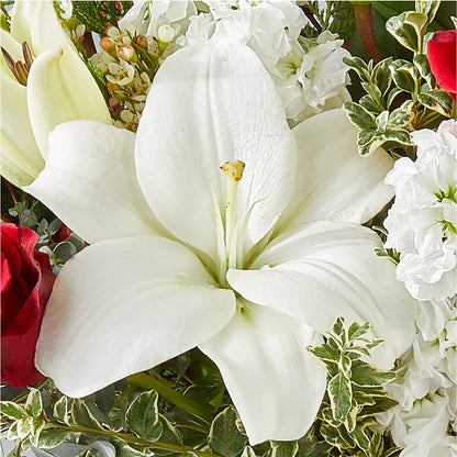 Twinkle Lights Bouquet –  Elikonia Flores Y Eventos, San Juan PR