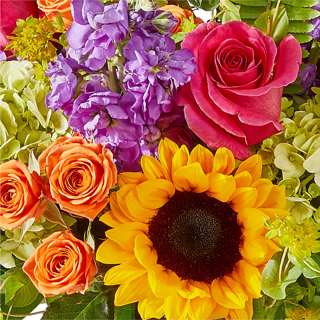 Vibrant Greetings Bouquet –  Elikonia Flores Y Eventos, San Juan PR