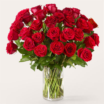 The One Red Rose Bouquet –  Elikonia Flores Y Eventos, San Juan PR