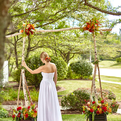 Arbor of Love Archway –  Elikonia Flores Y Eventos, San Juan PR