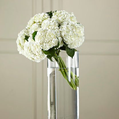 White Hydrangea Hand-Tied Bouquet –  Elikonia Flores Y Eventos, San Juan PR