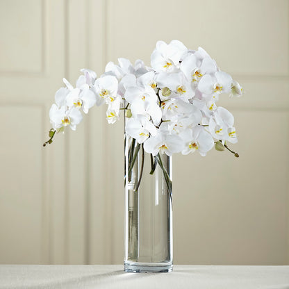 White Phalaenopsis Bouquet –  Elikonia Flores Y Eventos, San Juan PR
