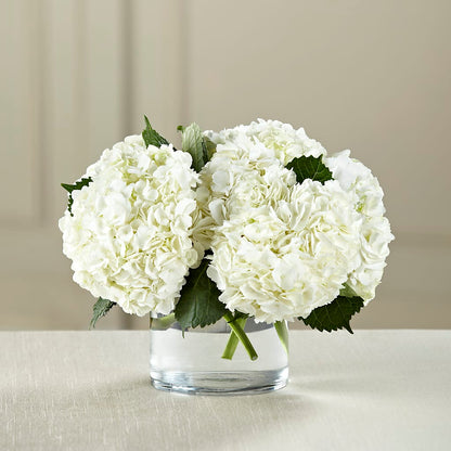 White Hydrangea Bouquet –  Elikonia Flores Y Eventos, San Juan PR